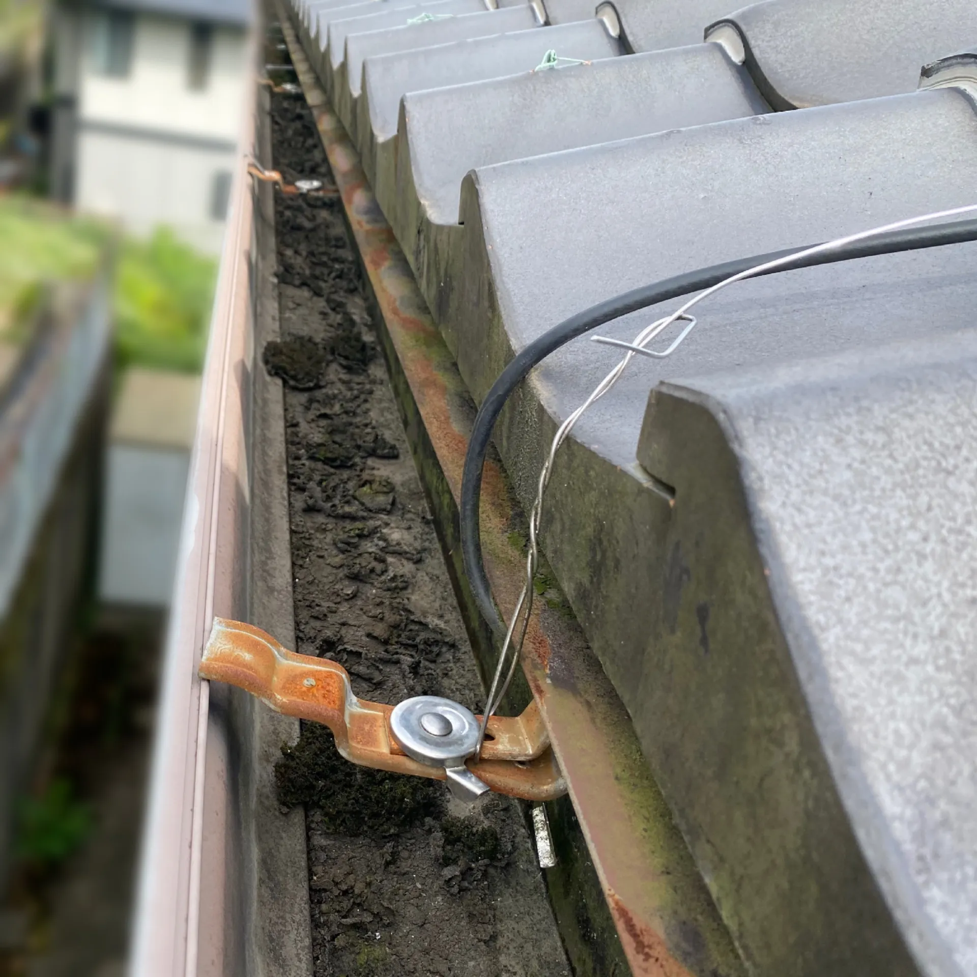 施工前 / 雨樋　軒樋の中に汚れが滞留