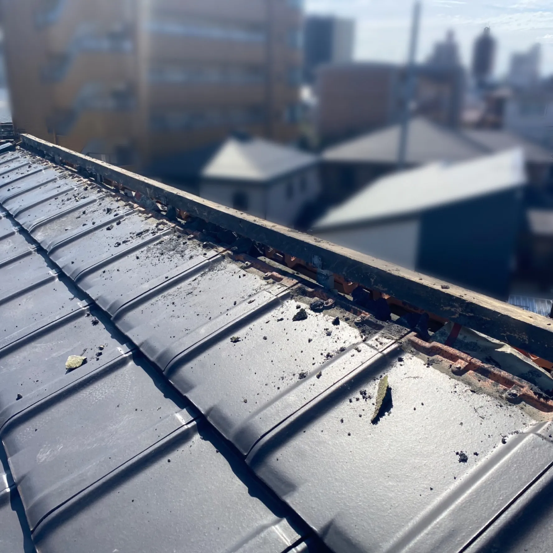 屋根 棟漆喰工事 / 4.旧漆喰撤去後