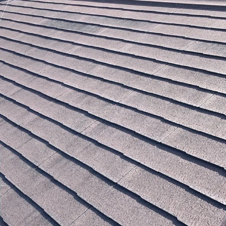 屋根塗装工事 / 1.施工前