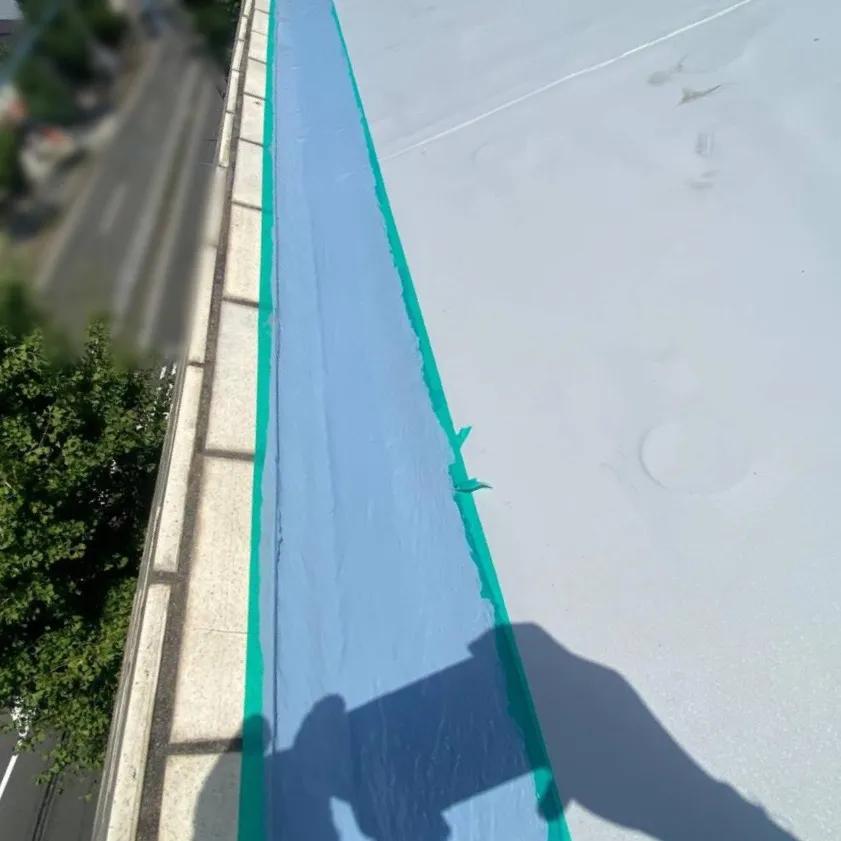 屋上防水工事 / 29.1層目施工後