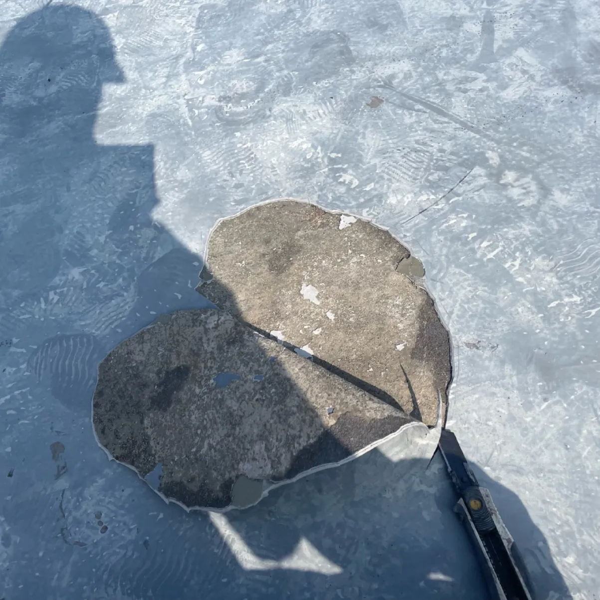 屋上防水工事 / 1.浮き・不良部撤去