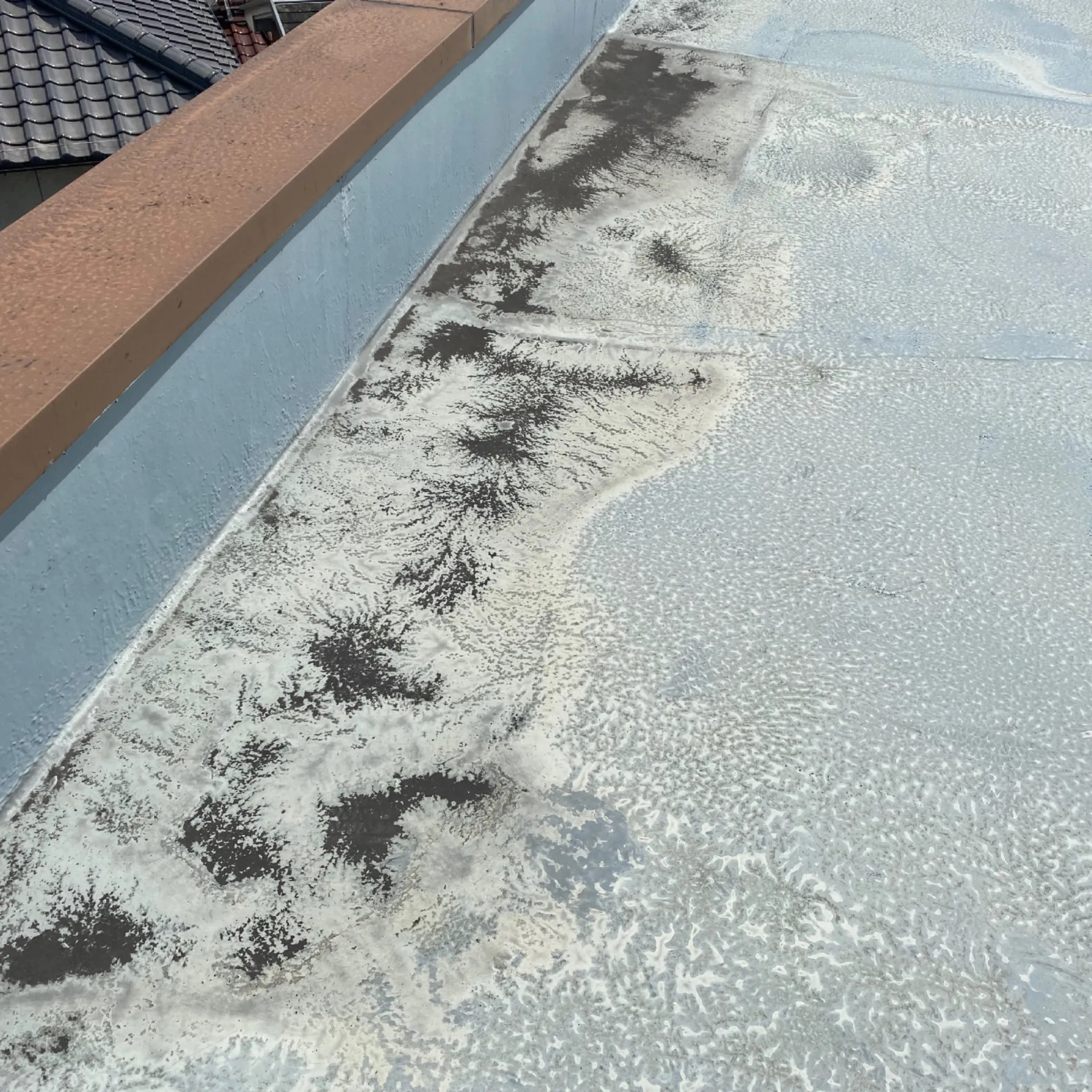 施工前 / 不陸・汚れの蓄積