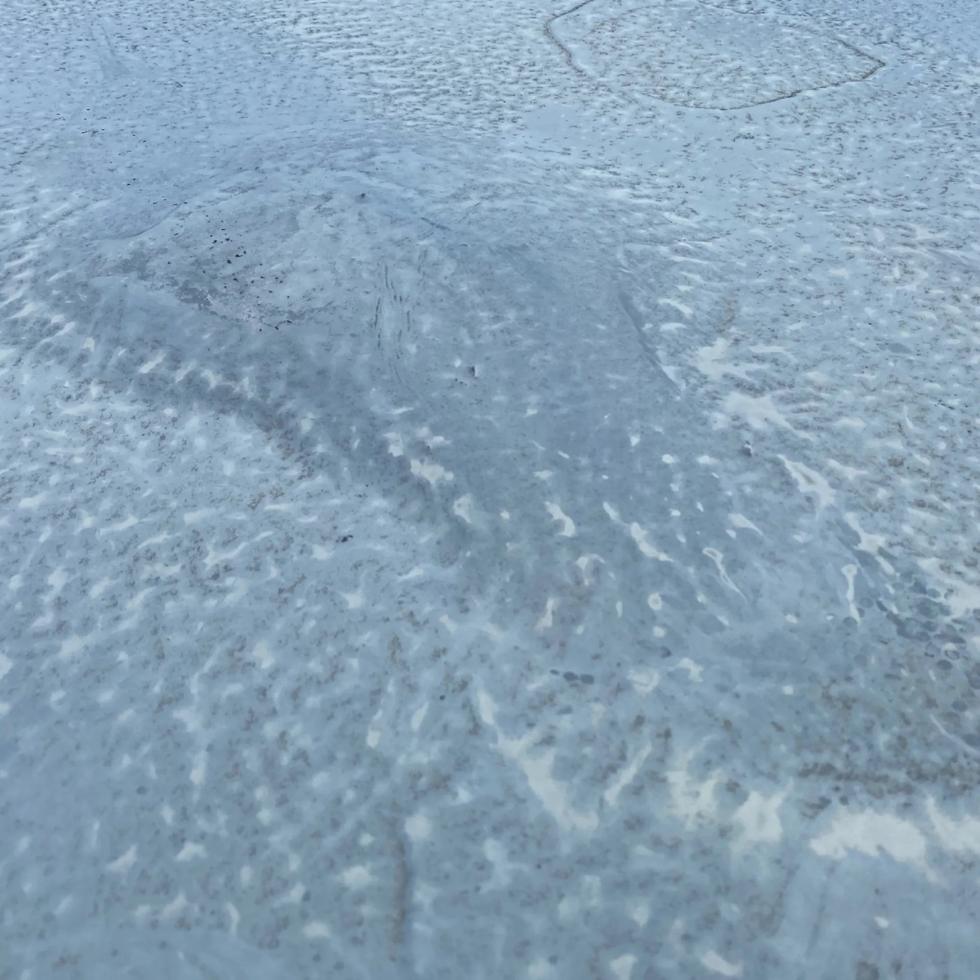 施工前 / ウレタン塗膜防水の膨れ