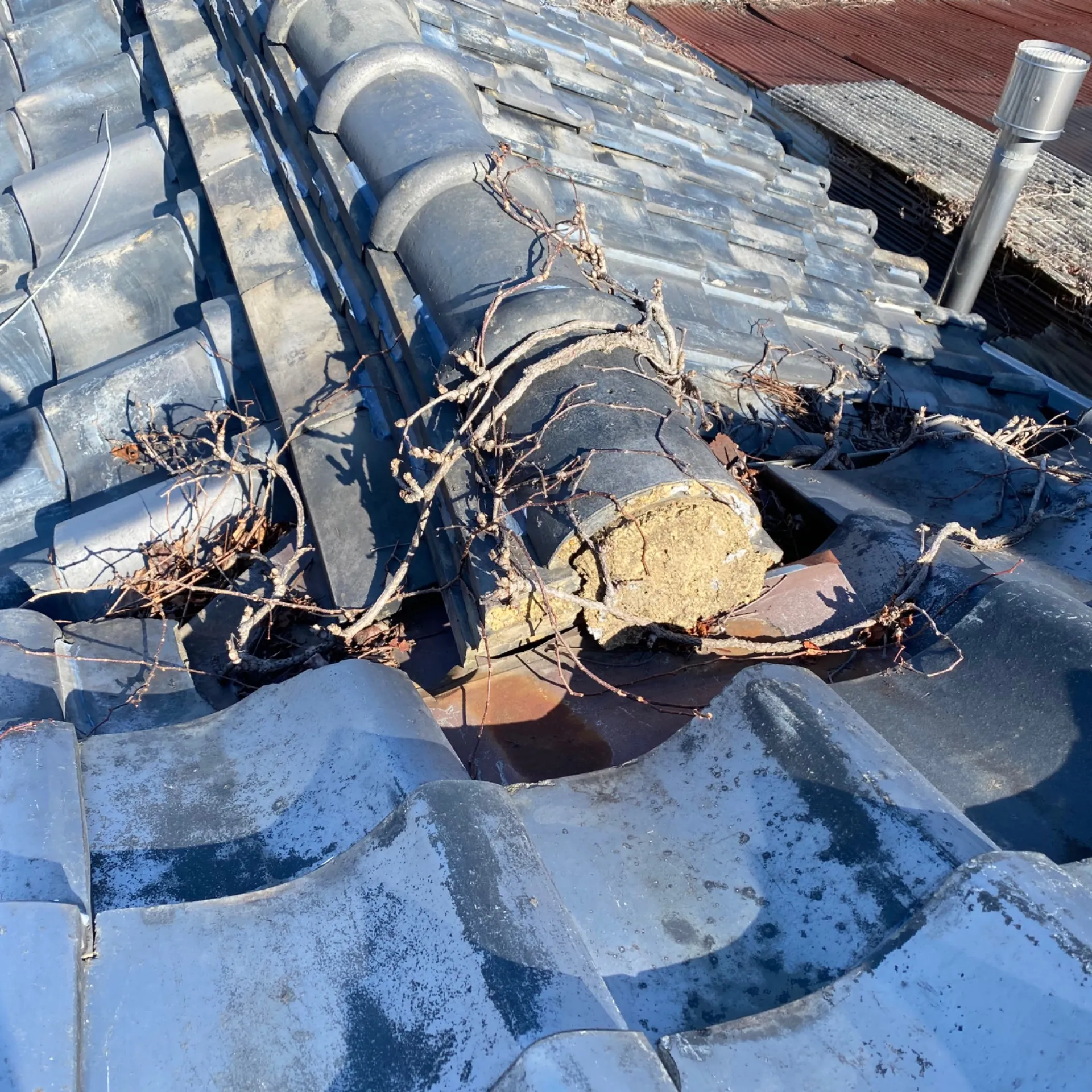 施工前 / 棟尻・谷　植物の発生・谷板金の錆び