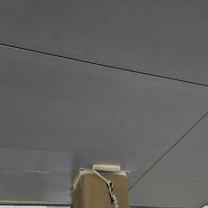 軸天塗装工事 / 下塗り