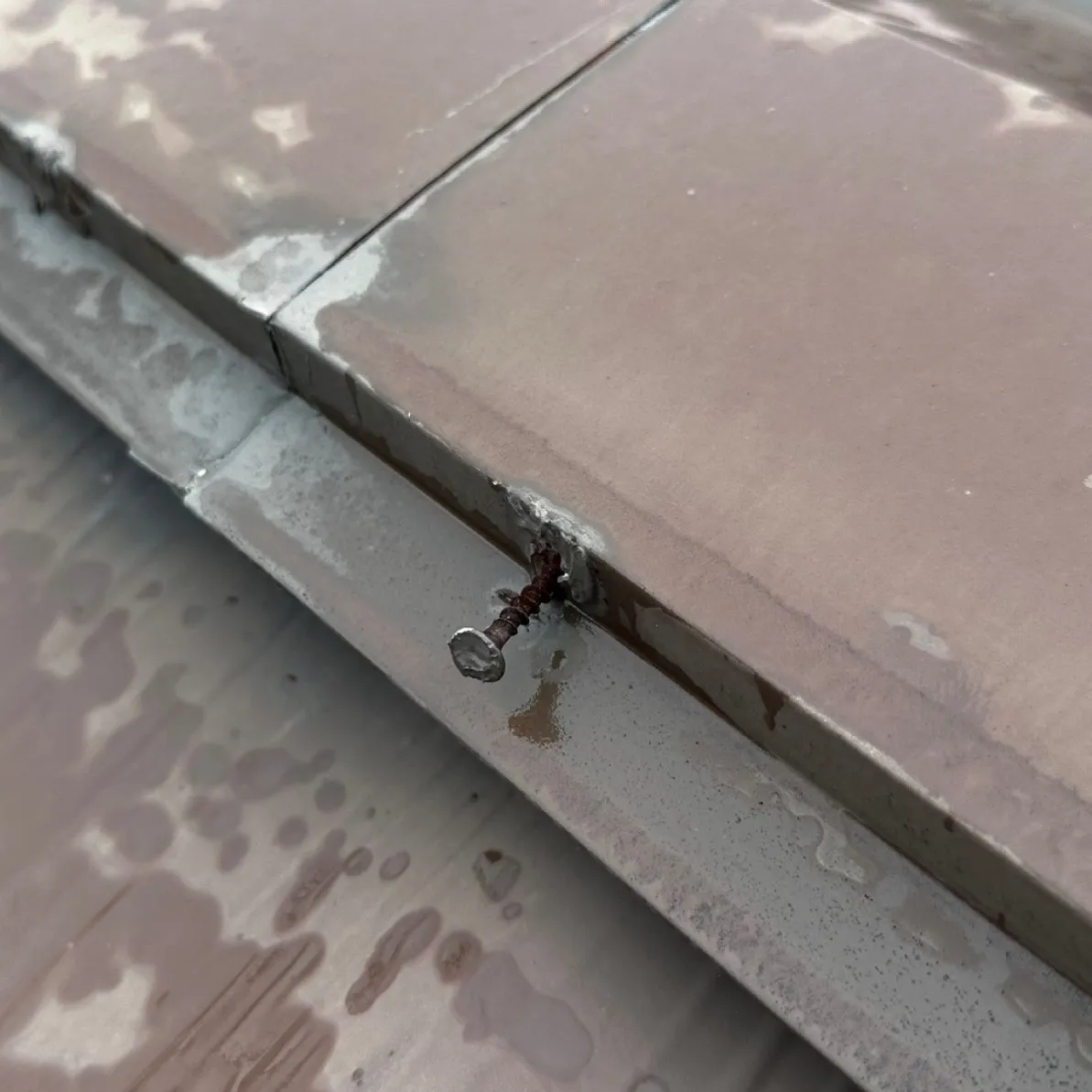 施工前 / 屋根調査