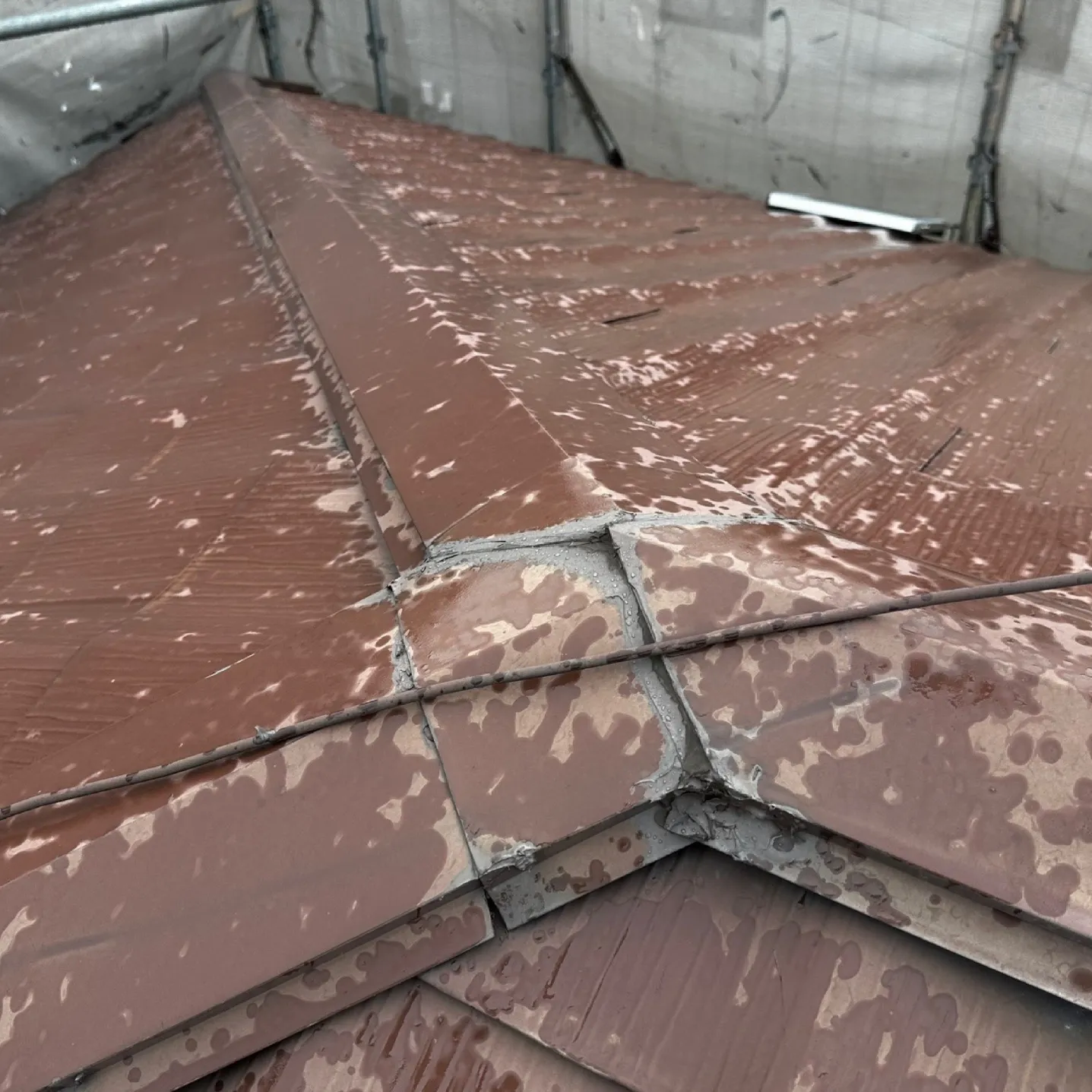 施工前 / 屋根調査