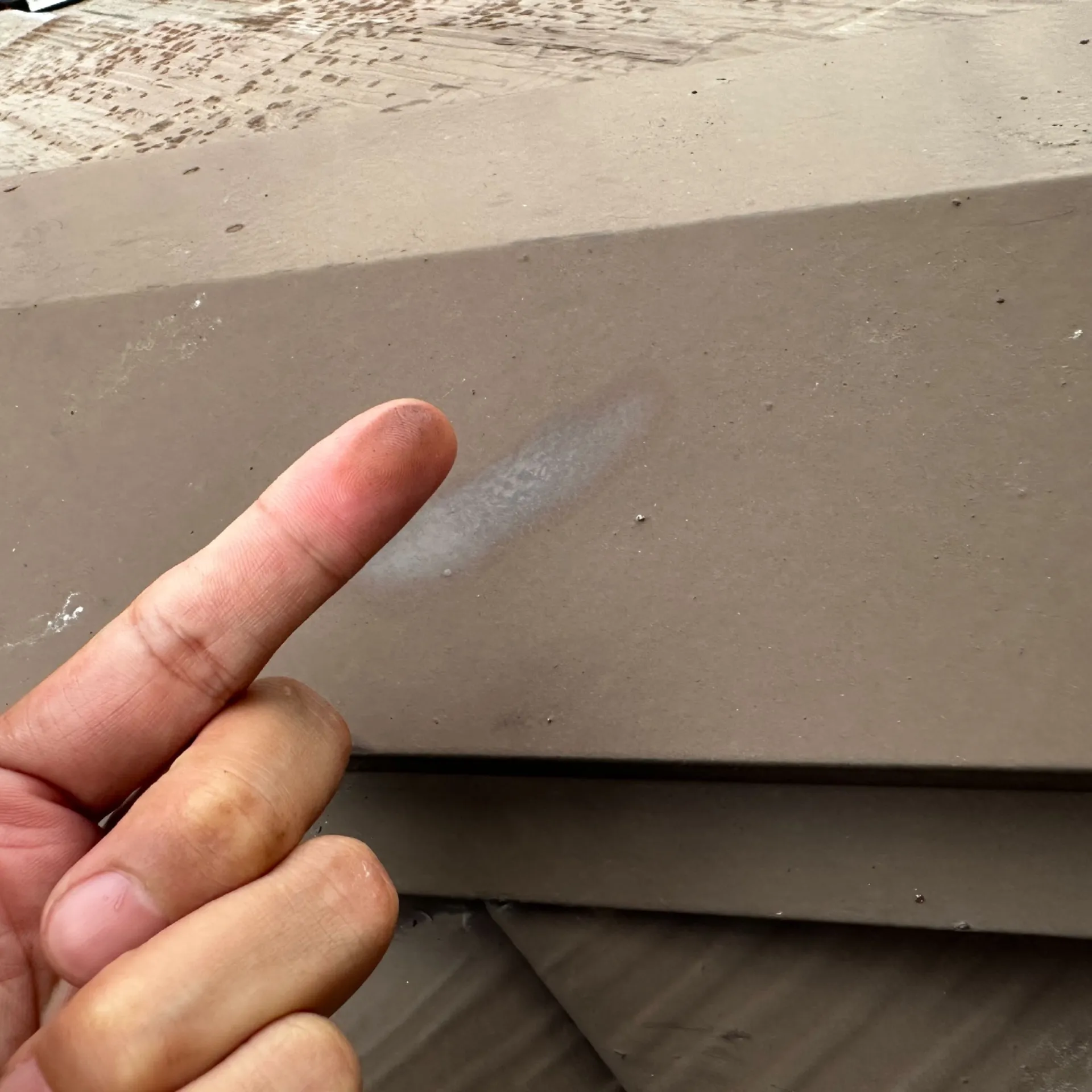 施工前 / 屋根調査