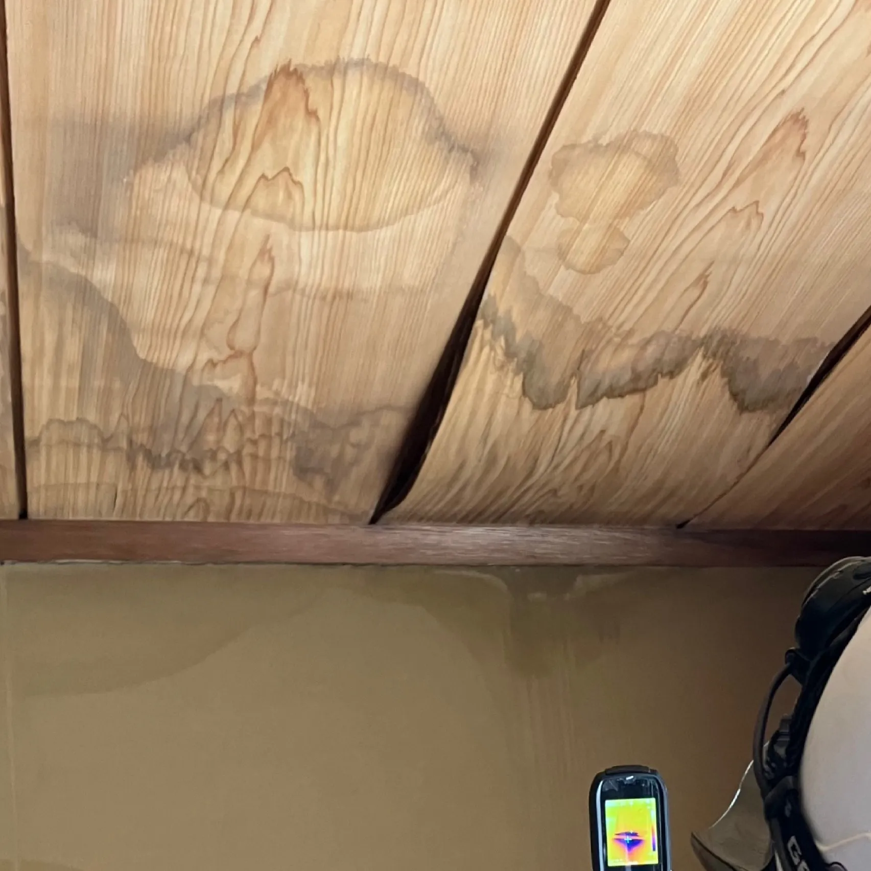 夏の雨漏り点検で知る原因と対策