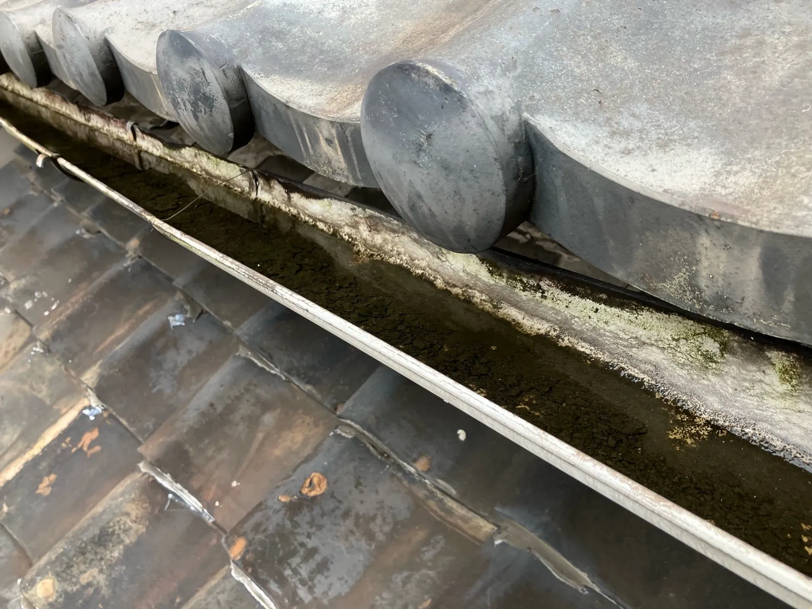 名古屋市内の現場の施工レポート│雨漏り修理工事