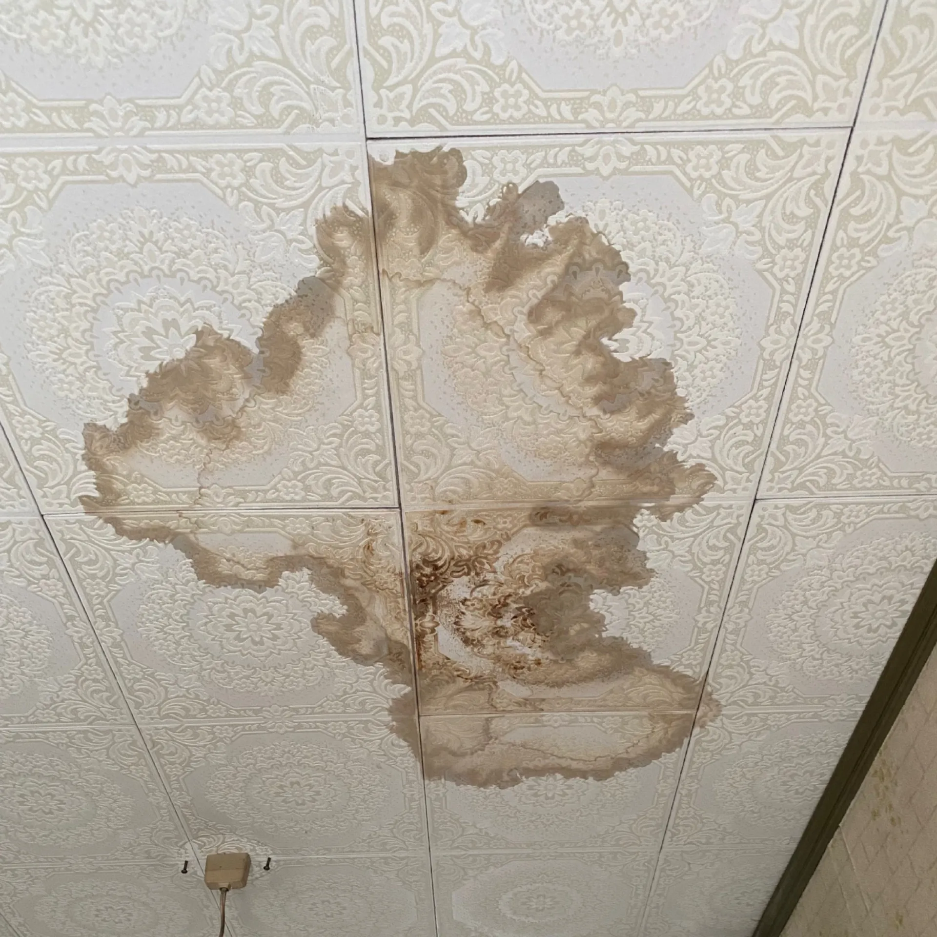 天井シミの兆候と対策法