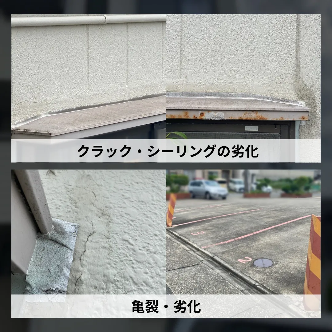 こんにちは！井澤産業有限会社です😊