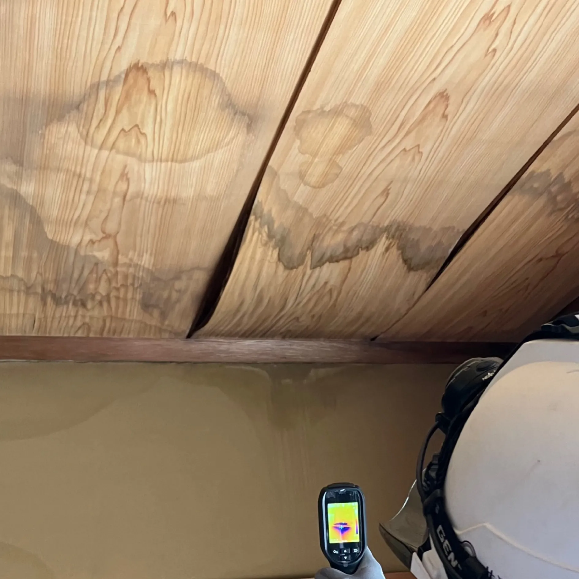 秋冬に悪化する雨漏り放置の影響と対策