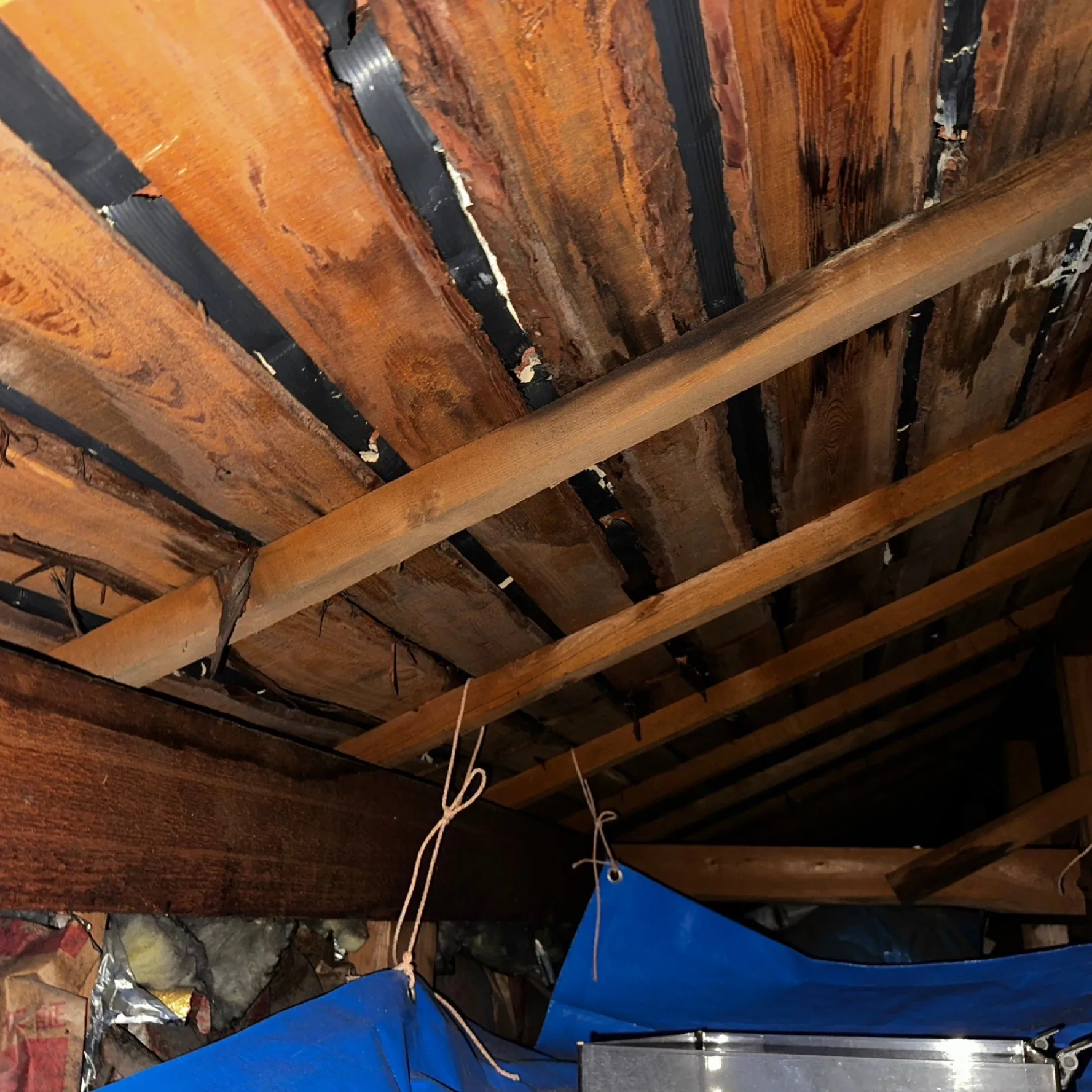 屋根裏湿気の原因と効果的な対策法