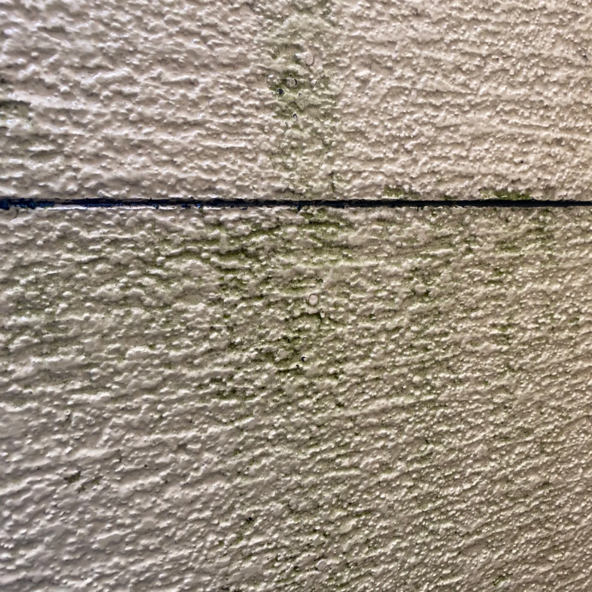 施工前 / ベランダ内側　汚れ・苔の発生