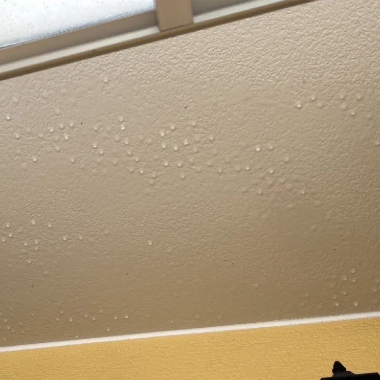 軒天 / 施工後　高圧洗浄