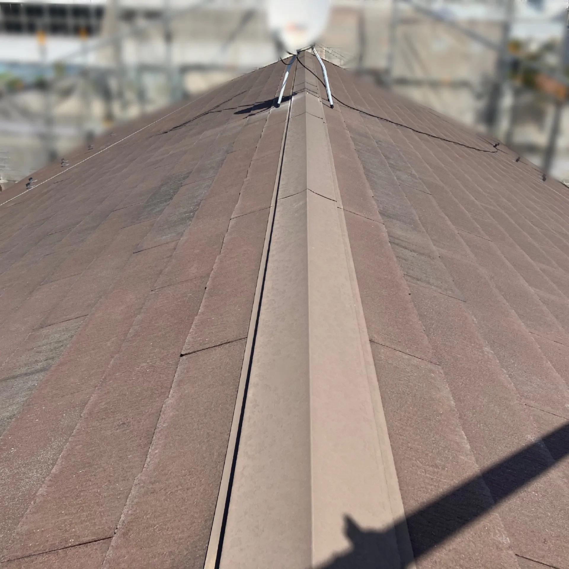 春本番前の屋根点検方法と注意点