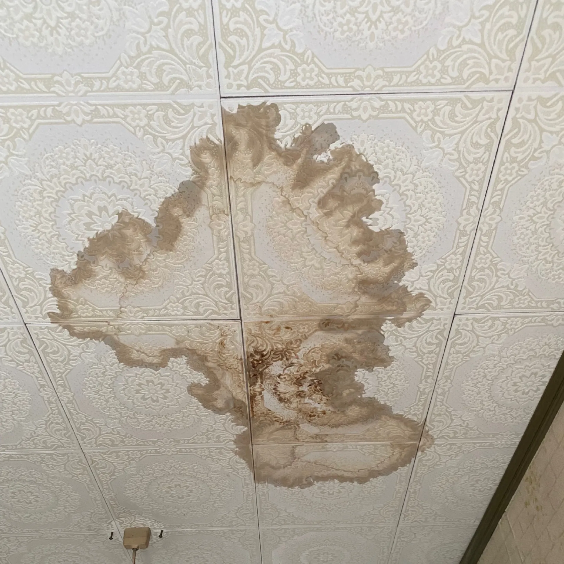 雨漏り放置の危険な兆候と対策法