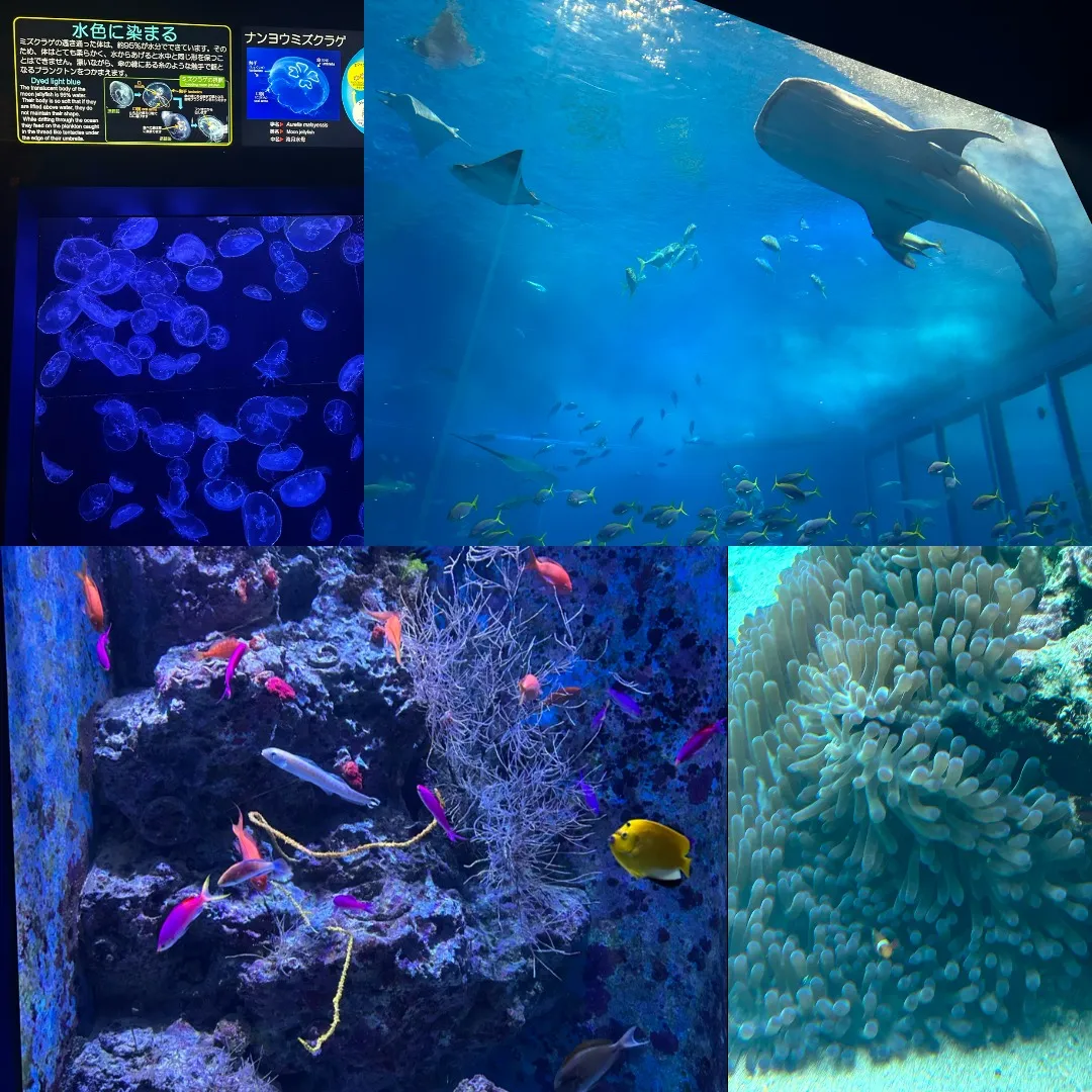 こんにちは!名古屋市熱田区の屋根・雨漏り・外装修理リフォーム...