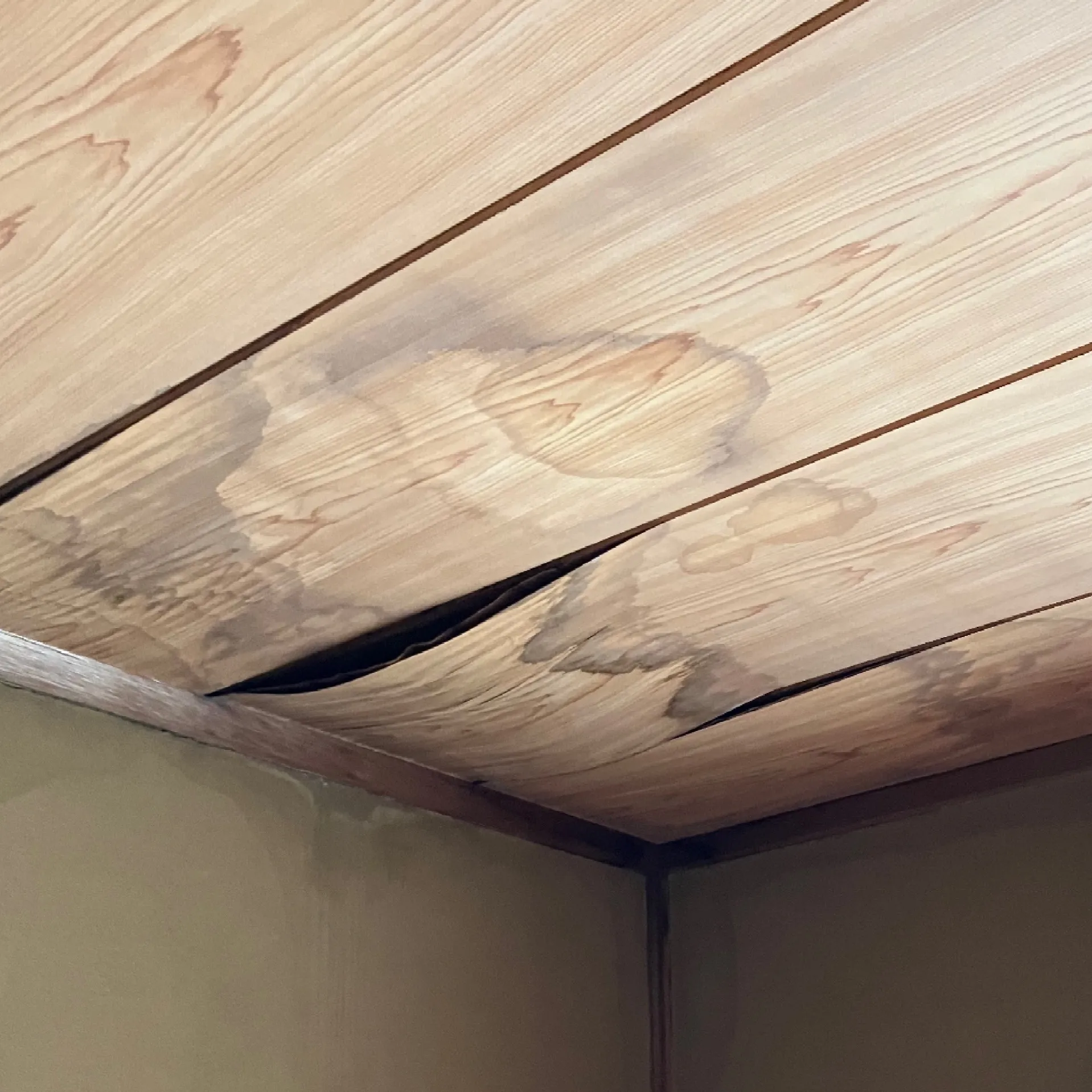 雨漏りリスク高い屋根の見分け方と特徴